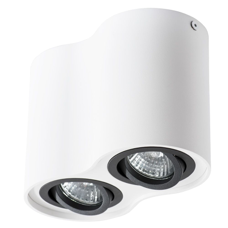 Потолочный светильник Arte Lamp Falcon A5644PL-2WH 