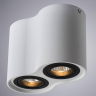 Потолочный светильник Arte Lamp Falcon A5644PL-2WH 