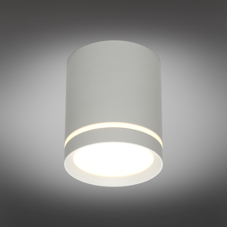 Накладной светильник Omnilux Capurso OML-102429-05 