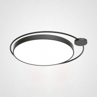 Потолочный светильник Destin D50 Black ImperiumLoft DESTIN01 (193727-26)