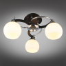 OML-25407-03 Потолочная люстра Omnilux Caldiero 