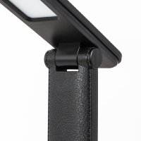 Нарушена упаковка!  <618700> Офисная настольная лампа Arte Lamp Cambridge A5123LT-1BK