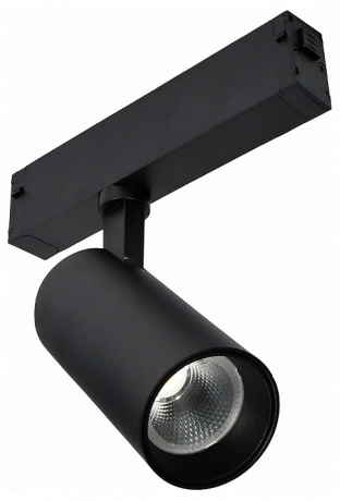 Светильник на штанге ST-Luce SKYLINE 220 ST660.436.10H 