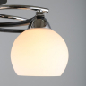 OML-25407-05 Потолочная люстра Omnilux Caldiero 