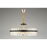 Подвесная светодиодная диммируемая люстра Aployt Honori APL.027.03.102 