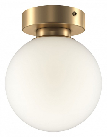 Накладной светильник Maytoni Basic form MOD321WL-01G1 