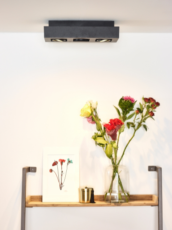 09119/16/30 Потолочный накладной светильник Lucide Xirax 