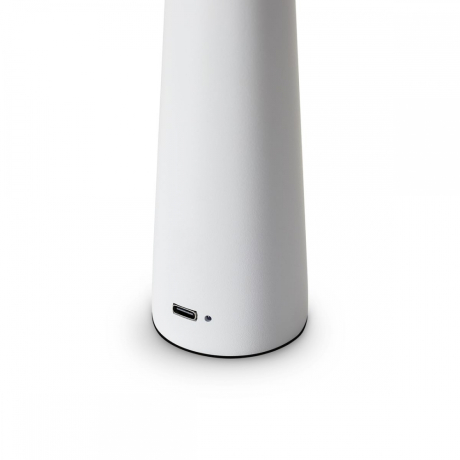 Настольная лампа Freya Clam FR6188TL-L3W 