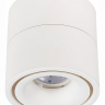 Светильник на штанге ST-Luce ST652 ST652.532.12 