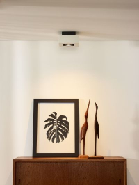 09119/06/31 Потолочный накладной светильник Lucide Xirax