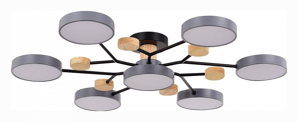 Потолочная люстра EVOLUCE Faema SLE6006-702-07 