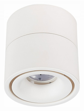 Светильник на штанге ST-Luce ST652 ST652.542.12 