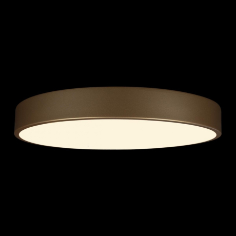 Потолочный светодиодный светильник Loft IT Flims 10228/A 