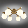 Потолочная люстра с лампочками Omnilux OML-68307-06+Lamps 