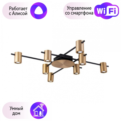 Люстра потолочная APLOYT Elwisia с Алисой APL.633.07.08-A 