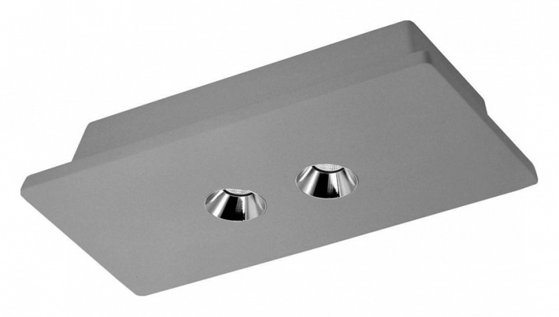 Накладной светильник Loft it Architect OL1072-GH/2 