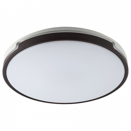 Накладной светильник Эра Классик SPB-6-70-RC Sance 