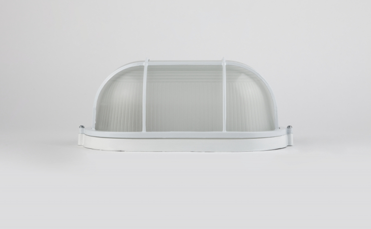 Настенный светильник Эра НБП 04-100-002 (Б0048426) 