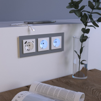 Рамка на 3 поста (серый,стекло) Werkel W0031115