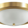 Накладной светильник Lumion Nina 5259/3C 