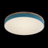 Потолочный светодиодный светильник Axel Loft It 10001/36 Blue 