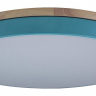Накладной светильник Loft it Axel 10001/36 Blue 