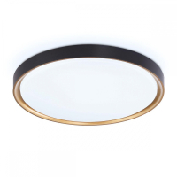 Потолочный светодиодный светильник Ambrella light Orbital Air FZ1249