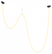 Подвесной светильник Maytoni Technical Tau TR101-2-100W3K-B