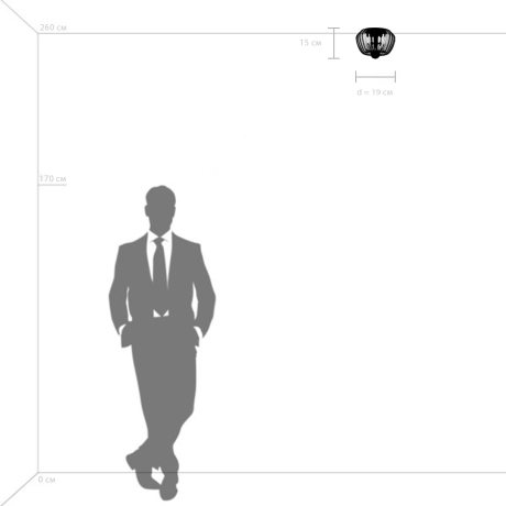 Потолочный светильник Celesta Lightstar 809003 