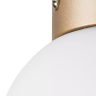 Плафон потолочный Lightstar Globo 812013 