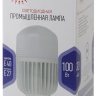 Лампа светодиодная ЭРА E40 100W 6500K матовая LED POWER T160-100W-6500-E27/E40 Б0032090 