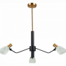 Люстра на штанге EVOLUCE Lita SLE205403-03