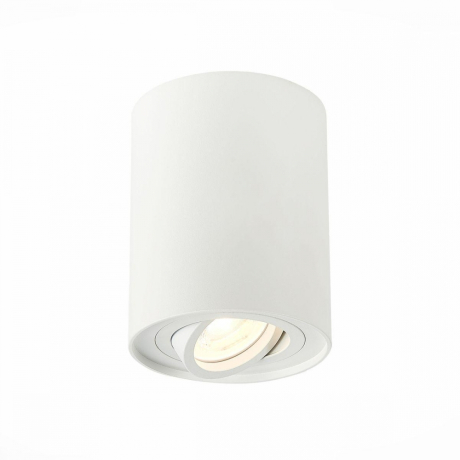 Накладной точечный поворотный светильник ST-Luce ST108.517.01 