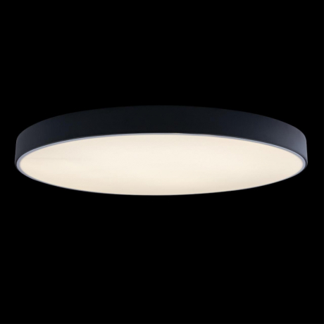 Потолочный светодиодный светильник Axel Loft It 10002/48 Black 