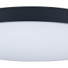 Накладной светильник Loft it Axel 1 10002/48 Black 