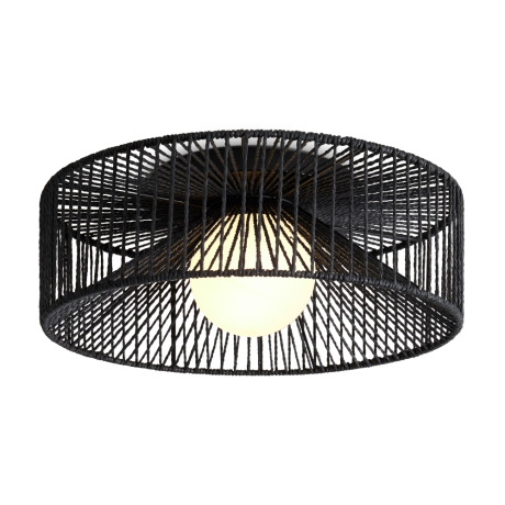 Потолочный светильник Freya Cottage FR5405CL-01B 