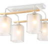 Потолочная люстра Ambrella Light TR TR3033246 