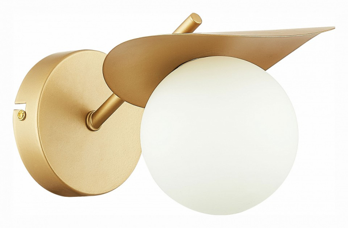 Бра EVOLUCE Bolzano SLE220501-01 