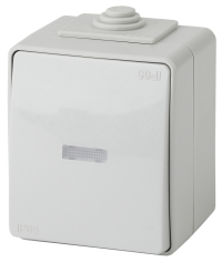 Переключатель одноклавишный с подсветкой ЭРА Эксперт 10AX 250V IP65 11-1610-03 Б0035981