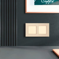 Рамка на 2 поста Werkel AluMax шампань W0023511