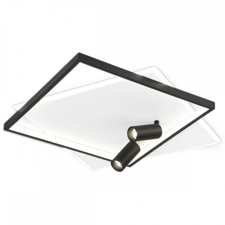 Потолочная люстра Ambrella Light FL FL5138 