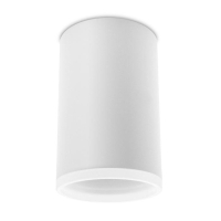 Накладной светильник Ambrella Light TN TN336