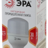 Лампа светодиодная ЭРА E27 30W 2700K матовая LED POWER T100-30W-2700-E27 Б0027002 