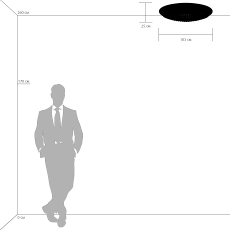 Потолочная люстра Lightstar с поддержкой Маруся, Monile 704214 