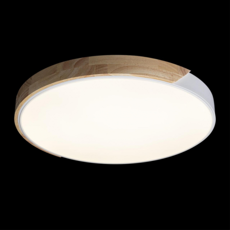 Потолочный светодиодный светильник Axel Loft It 10004/36 White 