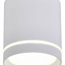 Накладной светильник Omnilux Capurso OML-102409-05 