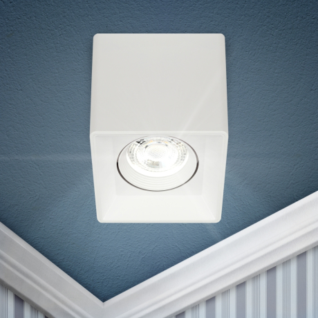 Накладной светильник Эра OL24-1 WH Б0054381 