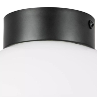 Плафон потолочный Lightstar Globo 812117