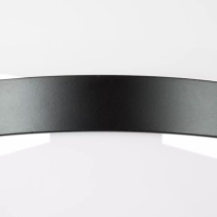 Плафон потолочный Lightstar Globo 812117