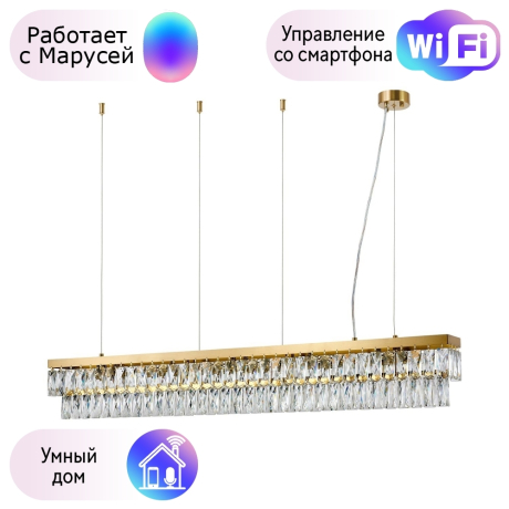 Подвесная люстра Magnitudo Favourite с поддержкой Маруся 4090-6P-М 